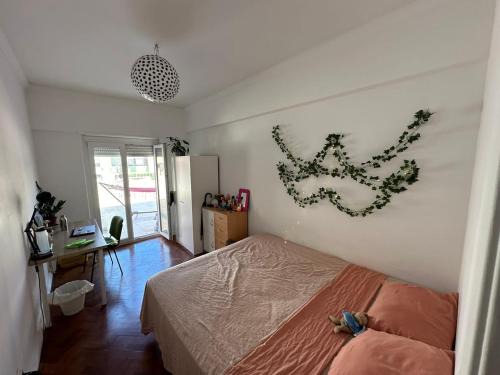 Falca House | A Casa do Gato