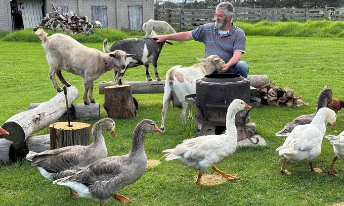 Alberton West House | A chance to get away from it all, farm life!