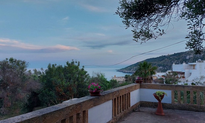 Marina Serra House | A corner of paradise in the green of an olive grove just a few steps from the sea