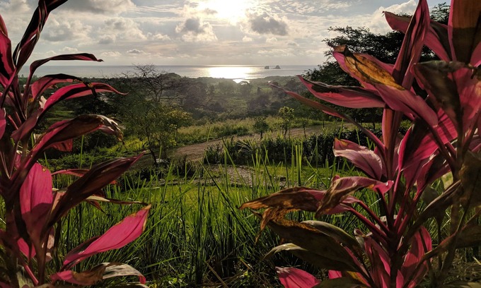 Las Tunas House | A hillside jungle oasis with amazing panoramic views of the Pacific Ocean!