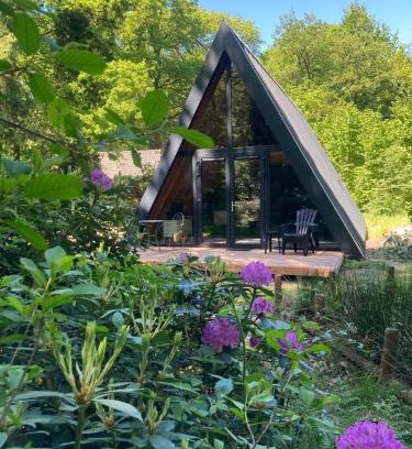 Norg House | A-huis in het bos van Drenthe
