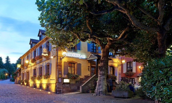 Ottrott Hotel | A L'Ami Fritz