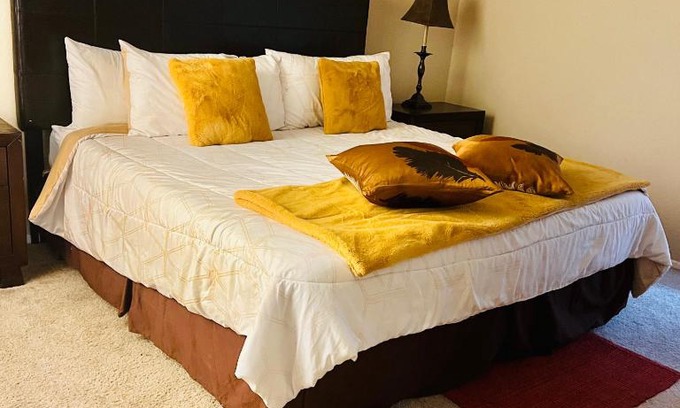 Astrodome Apartment | A Laid Back 2 BR 2 BT Patio Near NRG Arena Theatre Medical Center Rental Car Available