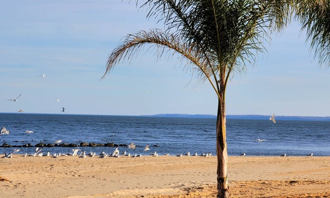 Issue House | A Peaceful Escape just minutes away from the Beach Great Location & Spacious