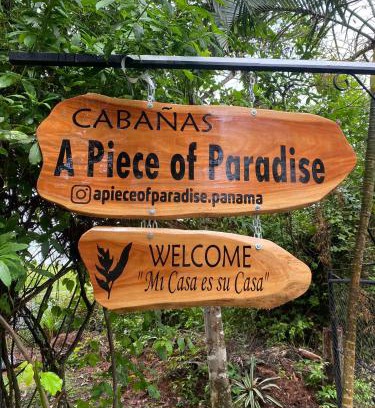 El Palmar House | A Piece of Paradise