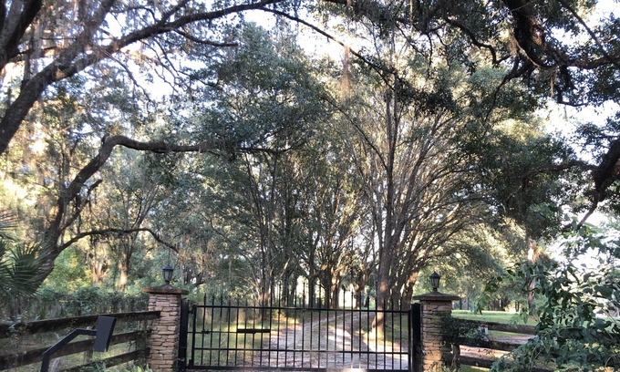 Micanopy House | A Private Country Home on 15 Beautiful Acres just miles away from city life!