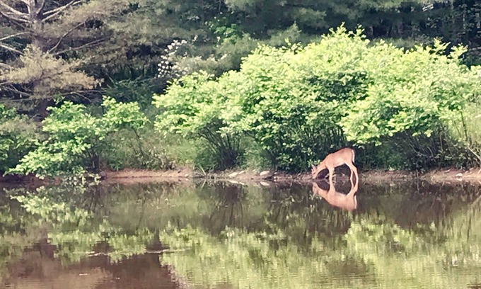Wallkill Other | A rare find near New Paltz with private pond