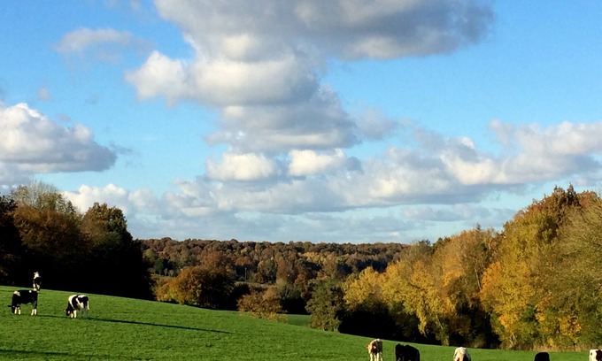 Tordouet Cottage | A romantic hideaway with a Nordic spa to get back to the heart of Calvados