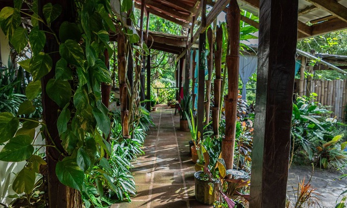 Penas Blancas House | A unique tropical jungle experience amongst magical gardens and rainforest.