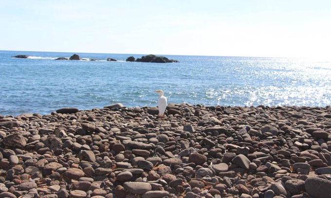 Cidade Velha Bed & Breakfast | Account Pousada Quinta da Ribeirinha