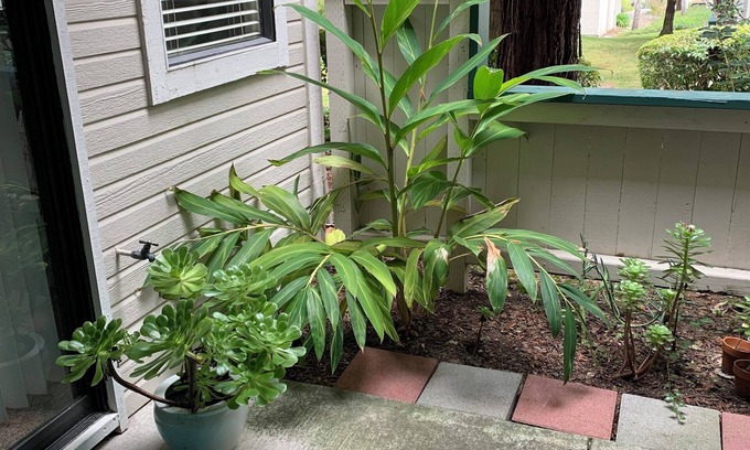 San Pablo Condo | Adorable condo with WiFi in charming neighborhood