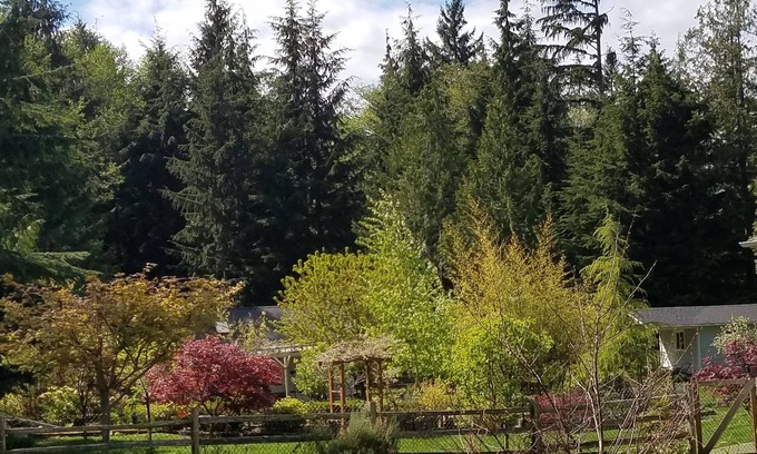 Silverdale House | Affordable Private Guest House