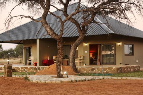 Gobabis Cabin | Africa Awaits Lodge & Safaris