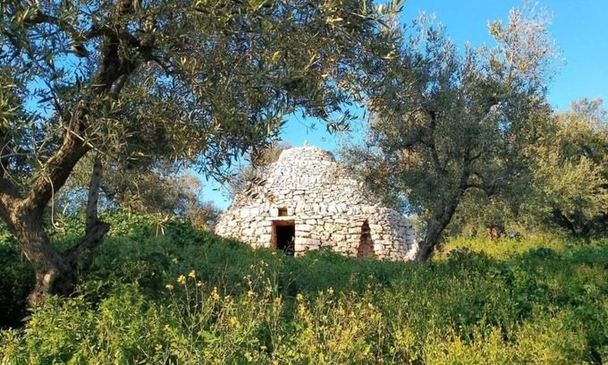 Bisceglie House | Agricampeggio wishne