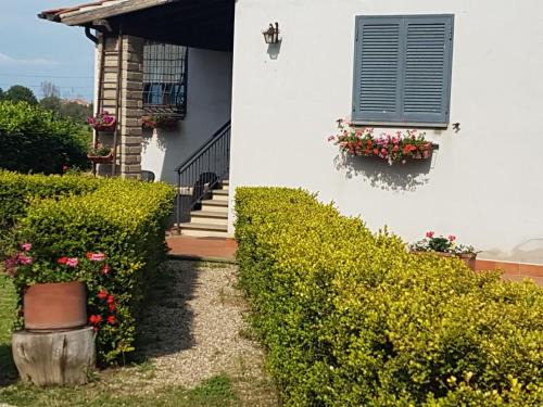 Monterosi Apartment | Agricampolungo Monterosi