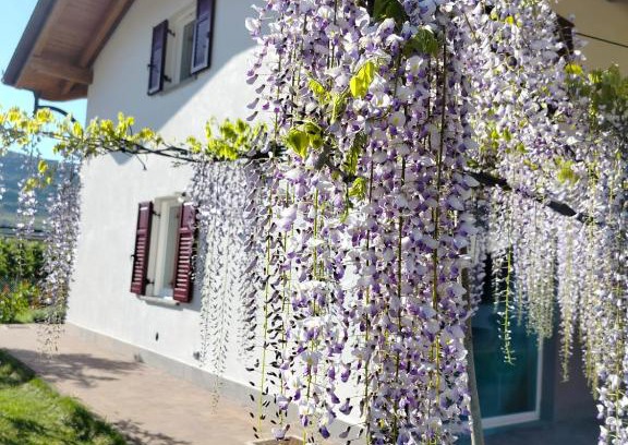 Nave San Rocco House | Agritur Lavanda