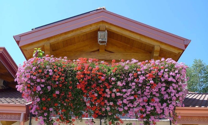Cagno Other | Agritur Vista Lago