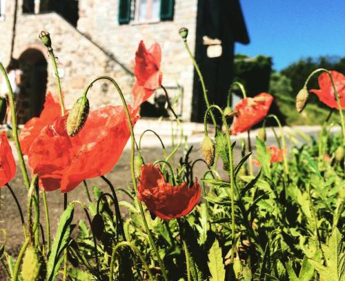 Beverino Bed & Breakfast | Agriturismo Angiò nel Cerè