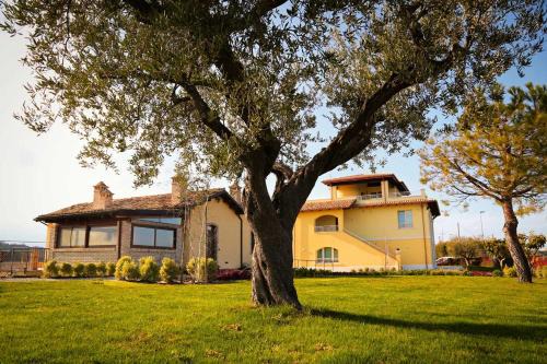 Giulianova Bed & Breakfast | Agriturismo BioCore 2 - Colledoro