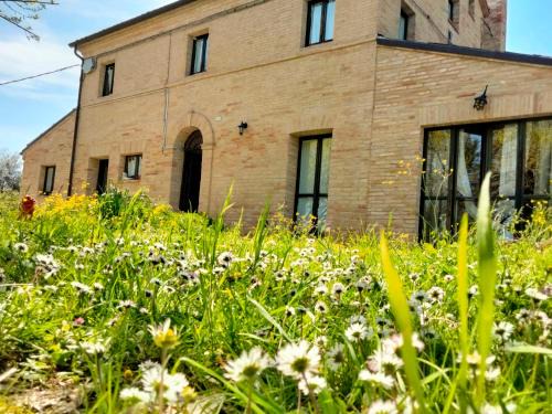 Belvedere Ostrense Bed & Breakfast | Agriturismo Campo Aperto