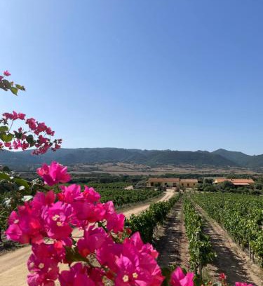 Aglientu House | Agriturismo Campesi casale tra le vigne