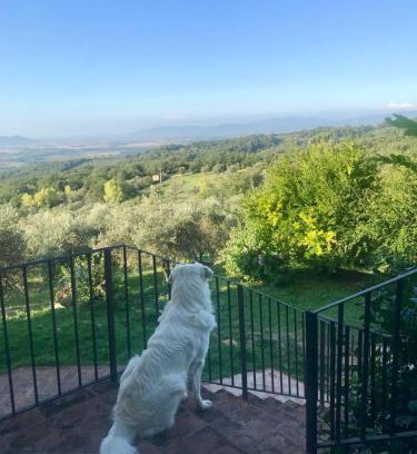 Sassofortino House | Agriturismo Campo al Crognolo