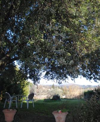 Oltrarno Apartment | Agriturismo Fattoria di Malavolta