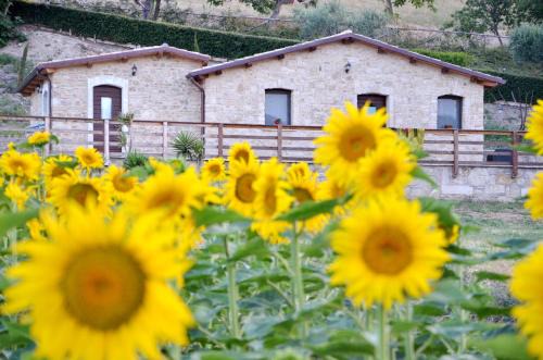 Tavenna House | Agriturismo Fontefredda