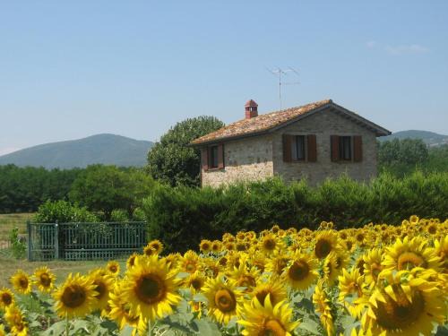Umbertide House | Agriturismo gli Arrighi - Cà di Giulia