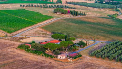 Bibbona House | Agriturismo I Debbi