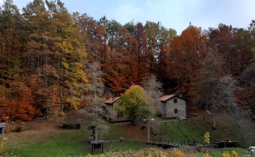 San Romano in Garfagnana Apartment | Agriturismo il canale