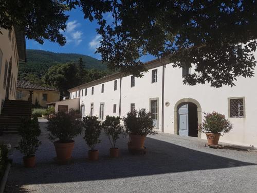 Montale House | Agriturismo Il Frantoio Di Colle Alberto