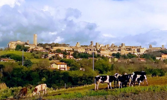 Tarquinia House | Agriturismo Il Poderino