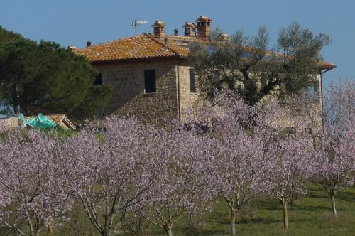 Fratta House | Agriturismo Il Sassolino