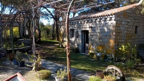 Tempio Pausania Bed & Breakfast | Agriturismo La Vigna