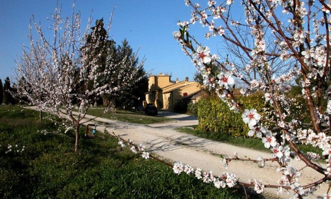 Loreto Aprutino House | Agriturismo Le magnolie