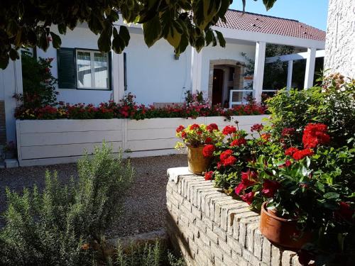 Orta Nova House | Agriturismo Masseria Mascitelli