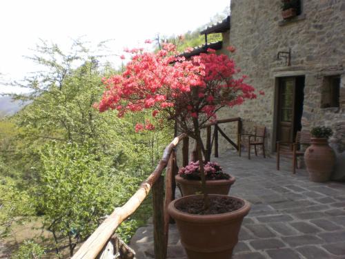 Marliana Bed & Breakfast | Agriturismo Molino Paradiso