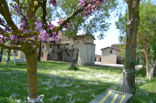 Bivio Lugnano House | Agriturismo Nestore