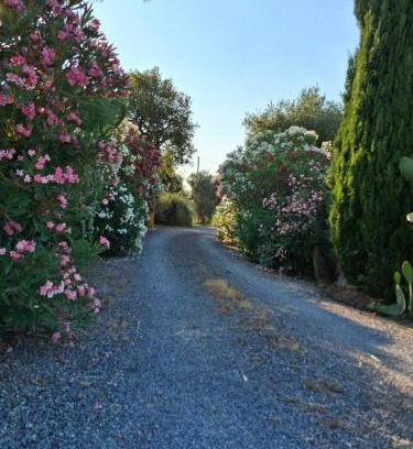 Magliano in Toscana Apartment | Agriturismo podere 329