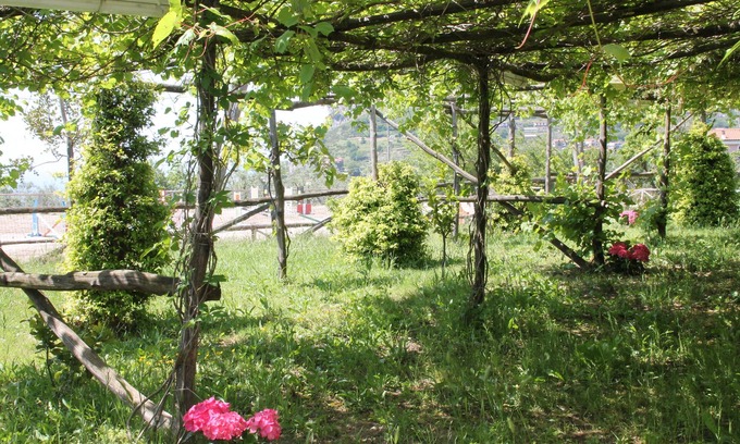 San Pietro House | Agriturismo Piccolo Paradiso