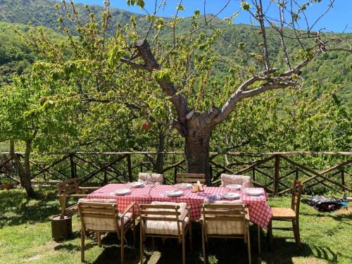 Antillo House | Agriturismo Pilato