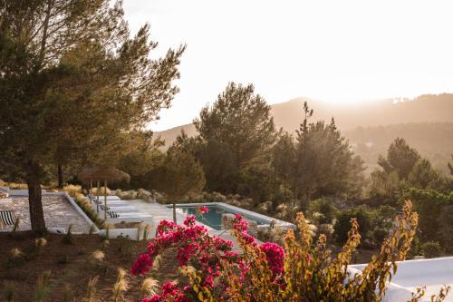 Santa Eulalia del Rio House | Agroturismo Can Domo