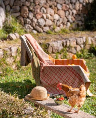 Valldemossa House | Agroturismo Son Viscos