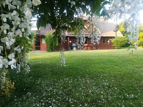 Sarbsk House | Agroturystyka Józefówka Borkowo Lęborskie