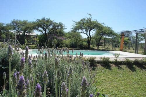 Chajari House | "AGUAPÉ" Alojamiento rural con PILETA