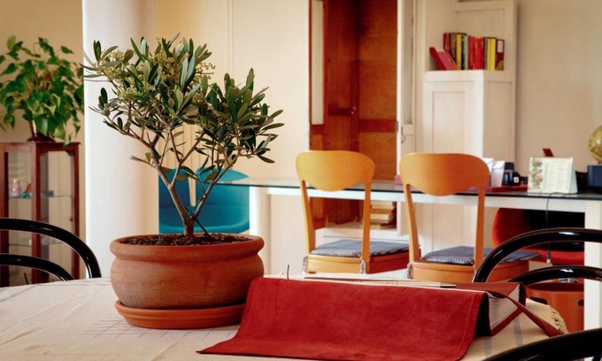 Monte Urano Bed & Breakfast | Ai Quattro Ulivi B&B