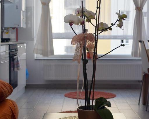 Brasov Apartment | Aki studio