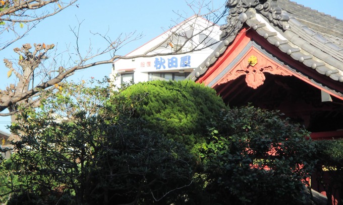 Koshigoe House | Akitaya