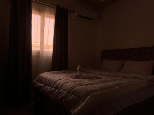 Giza House | Aladdin Sphinx & Pyramid Stay